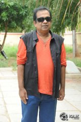 Brahmanandam About Alludu Seenu Movie